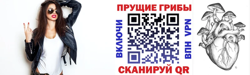 Псилоцибиновые грибы мицелий  мега вход  Каменск-Уральский 