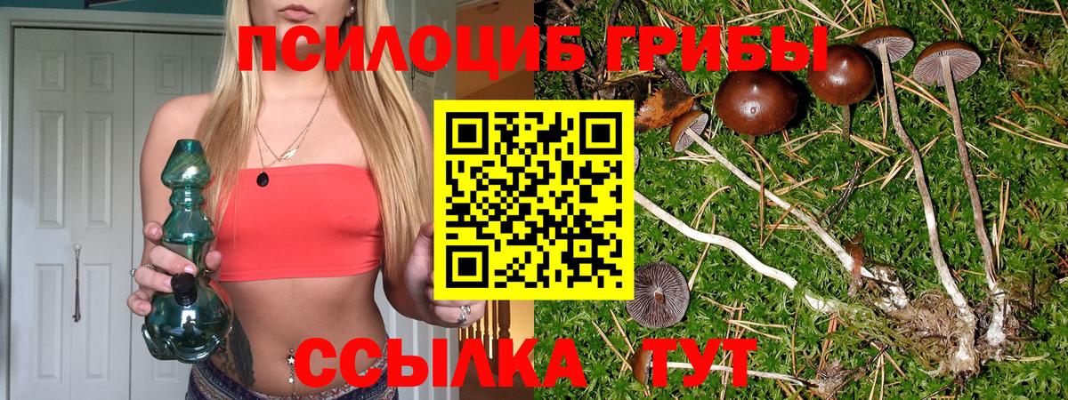 Галлюциногенные грибы Magic Shrooms Каменск-Уральский