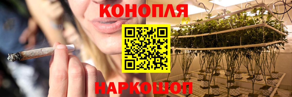 Каменск-Уральский  Бошки Шишки Bruce Banner  Каннабис семена  Вход с VPN  МАРИХУАНА THC 21%  Канабис SATIVA & INDICA 